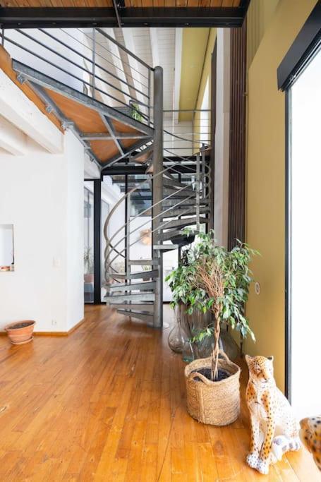 Le Loft Du Vieux-Port - St Victor Apartment Marseille Bagian luar foto